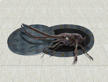 3D甲殼蟲地板畫