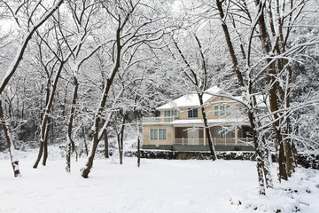 雪景