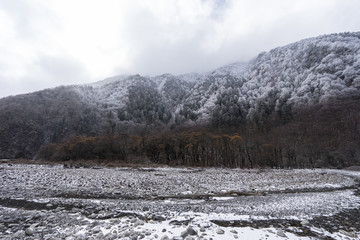 贡嘎山 河谷 河滩