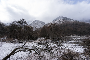 贡嘎山 河谷