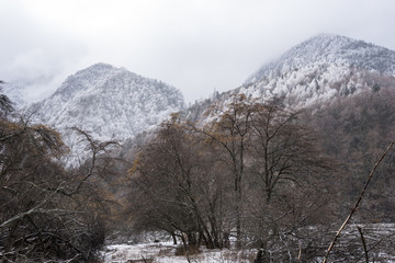 贡嘎山 河谷