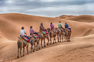 腾格里沙漠骆驼队