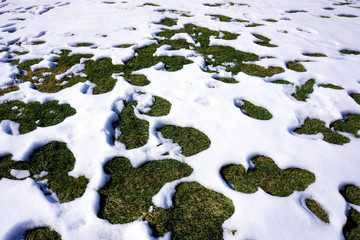 草地雪地