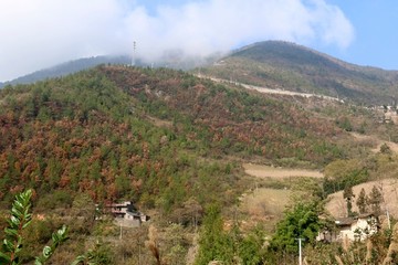 三峡风景