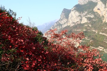 三峡风景