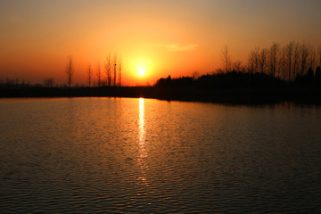 冬天日落前的池塘