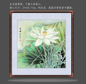 国画荷花