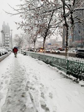 雪景