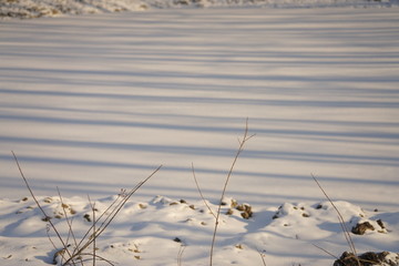 冬之雪韵树之光影