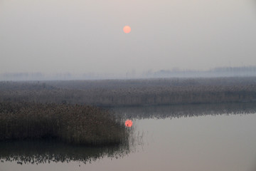 湿地早晨