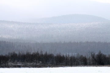 林海雪原