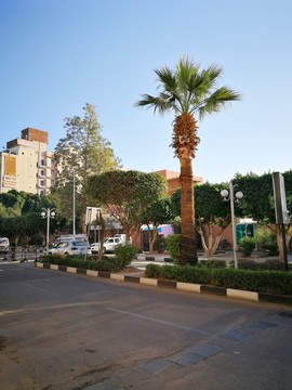 埃及卢克索城