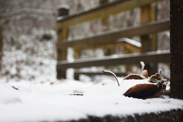 栈道浅雪