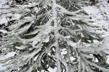 冰雪世界 石柱冷水镇雪景