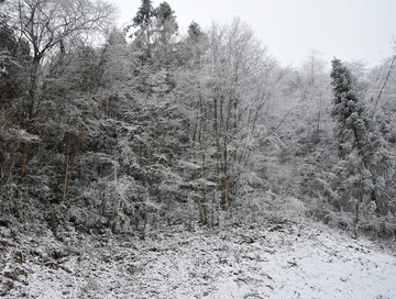 雪景 雪景素材