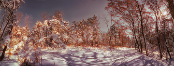 雪景