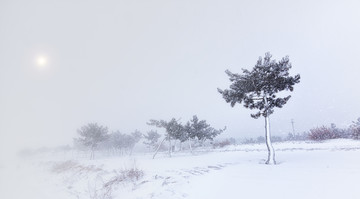 雪景