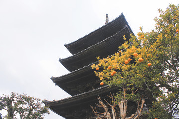 日本京都 街景