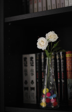 书柜 小花