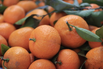水果市场 橘子