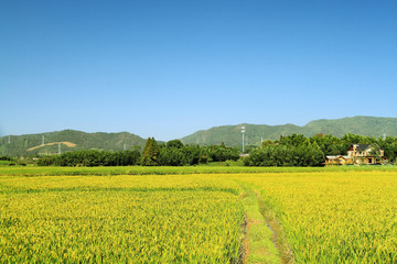 乡村田园