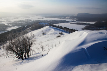 冬季大兴安岭积雪