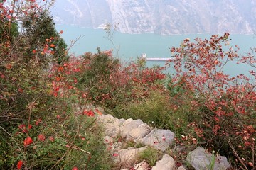 三峡风景