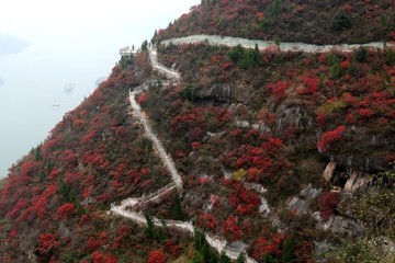 三峡风景