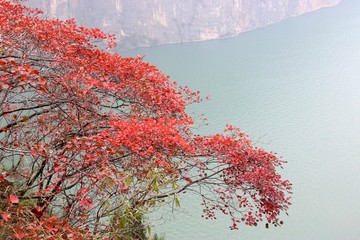 三峡风景