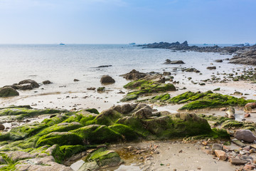 广西冠头岭的海蚀石