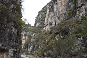 山 高山