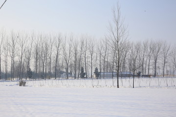 乡村雪景