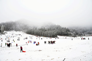 滑雪场 滑雪素材