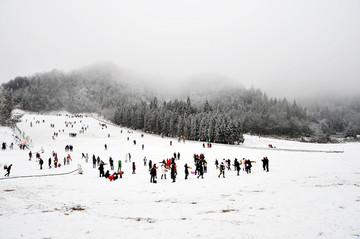 滑雪场 冷水镇滑雪场