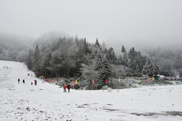 滑雪场  滑雪素材