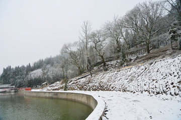 雪景图 重庆石柱雪景图