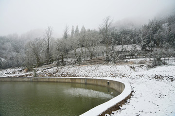 雪景图 重庆雪景图