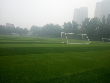 雨后的绿茵场