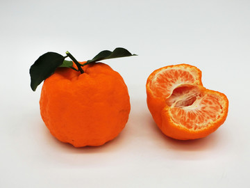 丑柑 丑橘