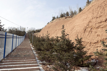 南山公园登山路