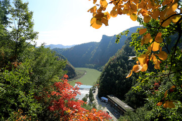 秋天的风景