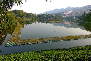 塗山湖