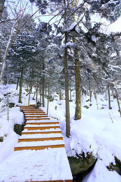 雾凇 冰雪风光 雪景 蓝天白云