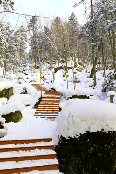 雾凇 冰雪风光 雪景 蓝天白云