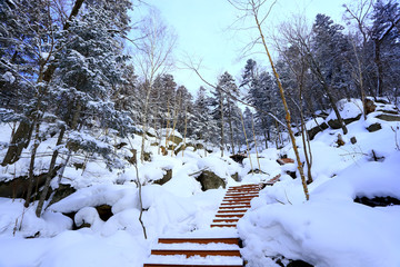 雾凇 冰雪风光 雪景 蓝天白云