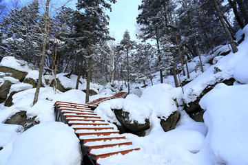 雾凇 冰雪风光 雪景 蓝天白云