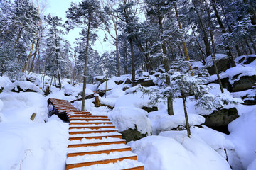 雾凇 冰雪风光 雪景 蓝天白云