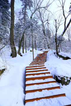 雾凇 冰雪风光 雪景 蓝天白云