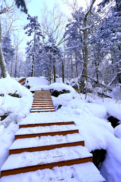 雾凇 冰雪风光 雪景 蓝天白云