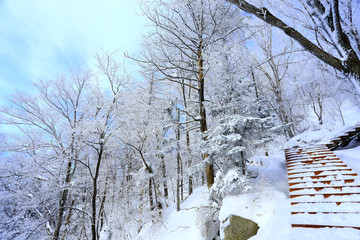 雾凇 冰雪风光 雪景 蓝天白云